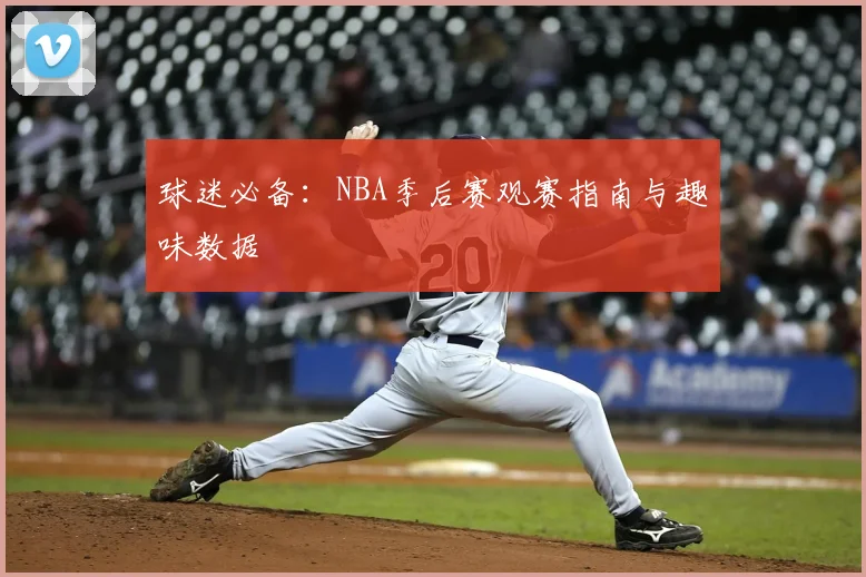 球迷必备:NBA季后赛观赛指南与趣味数据